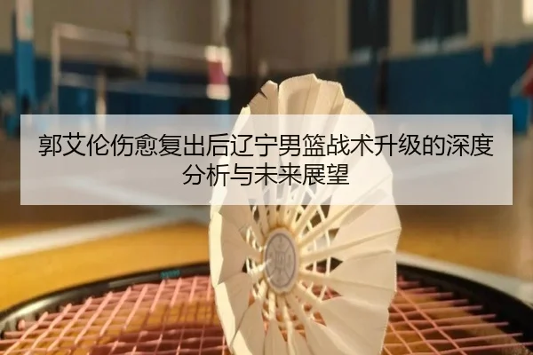 郭艾伦伤愈复出后辽宁男篮战术升级的深度分析与未来展望